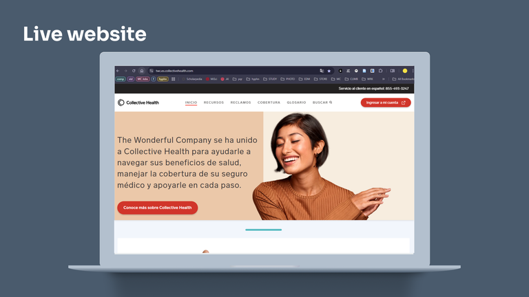 An image of the live website in a browser